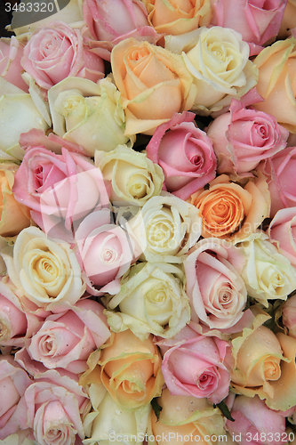 Image of Pastel roses in a wedding arrangement