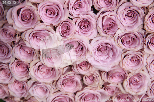 Image of Purple rose wedding arrangement