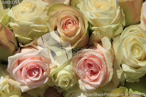 Image of White and Pink roses in wedding arrangement