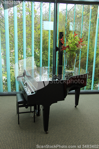 Image of Grand piano