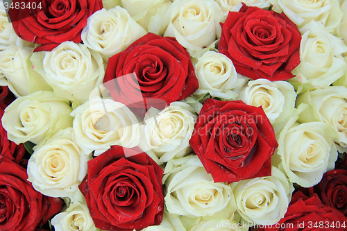 Image of Red and white roses in a wedding arrangement