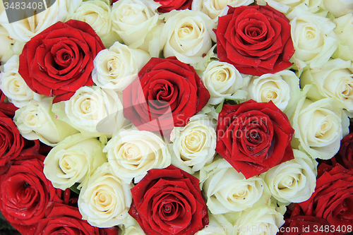 Image of Red and white roses in a wedding arrangement