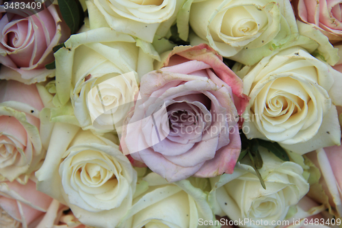 Image of Pastel roses in a wedding arrangement