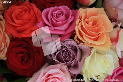 Image of Mixed bridal roses