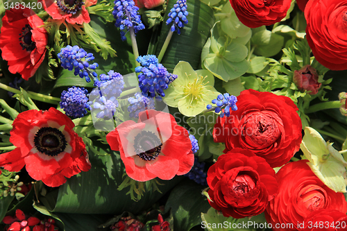 Image of Spring flowers in red and blue