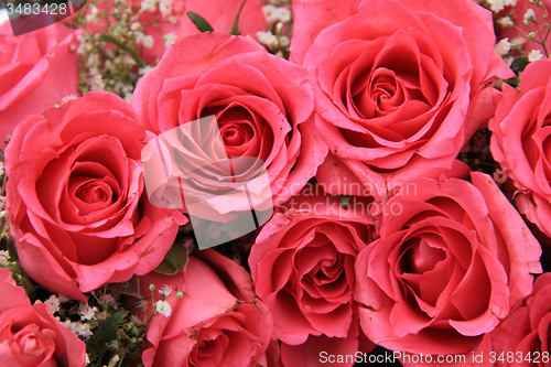 Image of Pink roses in a bridal arrangement