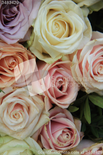 Image of Pastel roses in a wedding arrangement