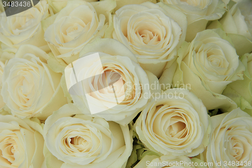 Image of White roses in a wedding arrangement