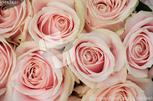 Image of pink wedding arrangement