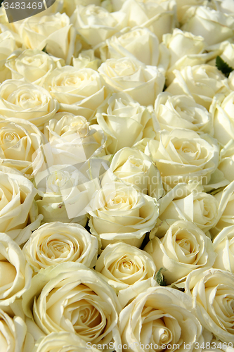 Image of Group of white roses in floral wedding decorations