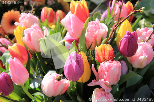 Image of Tulip bouquet