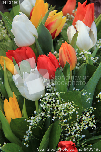 Image of Tulips bouquet