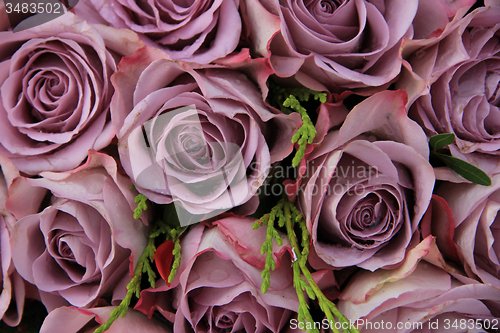 Image of Purple roses in a wedding arrangement