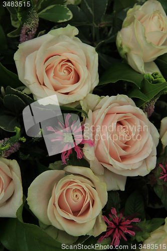 Image of Big pink roses