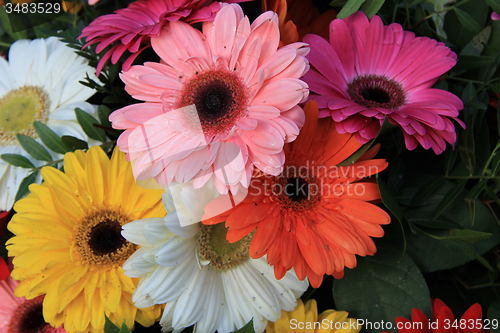 Image of Gerberas in a colorful bridal bouquet