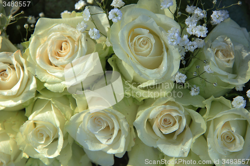 Image of White roses in bridal bouquet