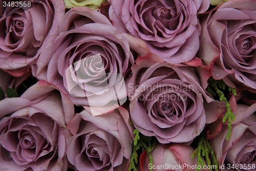 Image of Purple roses in a wedding arrangement