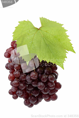 Image of Fresh Red Grapes