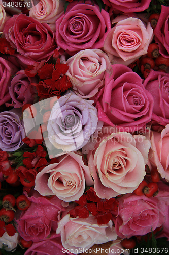 Image of Bridal roses in pink and purple