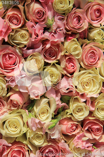 Image of White and pink roses in wedding arrangement