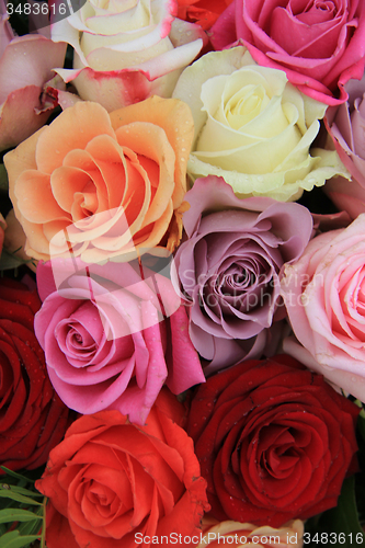 Image of Mixed bridal roses