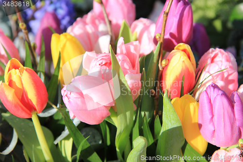 Image of Tulip bouquet