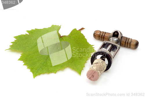 Image of Grapeleaf with Corkscrew