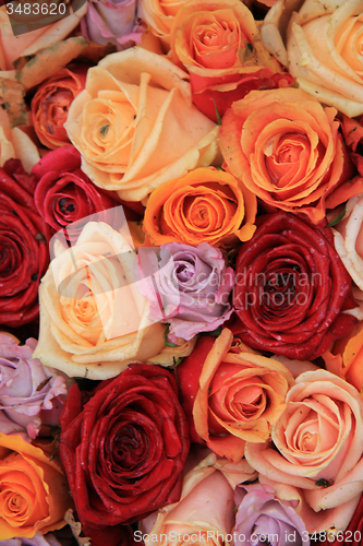Image of Mixed bridal roses