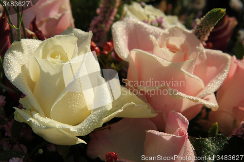 Image of Wedding Flowers: Different shades of pink roses