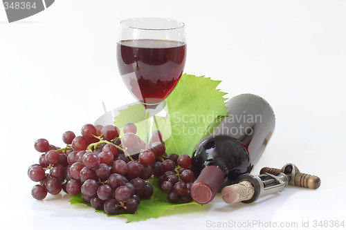 Image of Grapewine