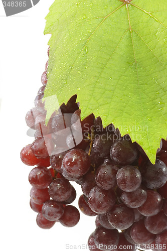 Image of Juicy Red Grapes