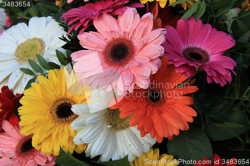 Image of Gerberas in a colorful bridal bouquet