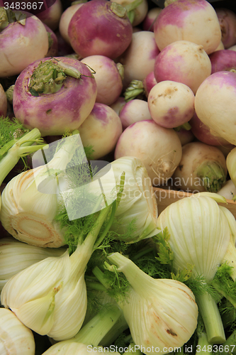 Image of Turnip and fennel