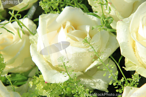 Image of Wedding flowers: roses and green