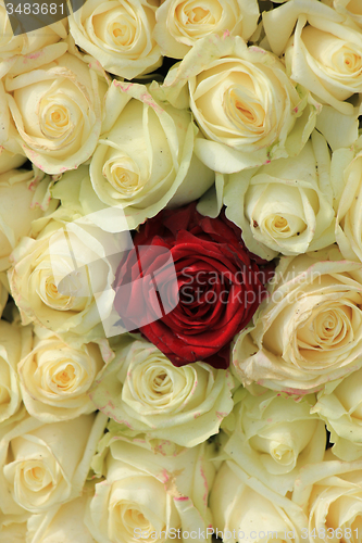 Image of Red rose in white bouquet