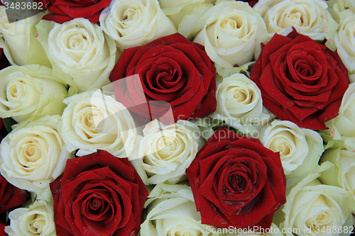 Image of Red and white roses in a wedding arrangement