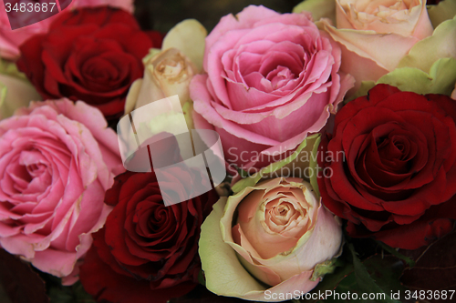 Image of Wedding flowers in pink and red