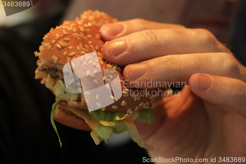 Image of Man holding a hamburger