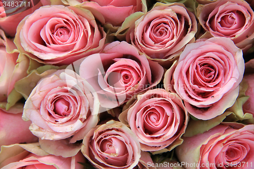 Image of Pink roses in a wedding arrangement