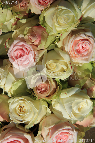 Image of White and Pink roses in wedding arrangement