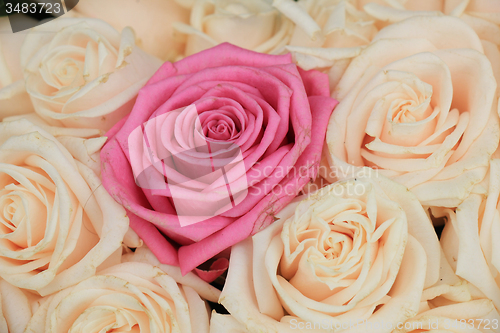 Image of Wedding roses