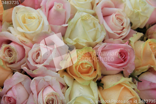 Image of Pastel roses in a wedding arrangement