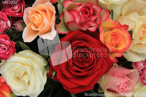 Image of Multicolored bridal bouquet