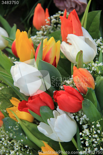 Image of Tulips bouquet