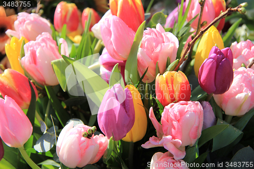 Image of Tulip bouquet