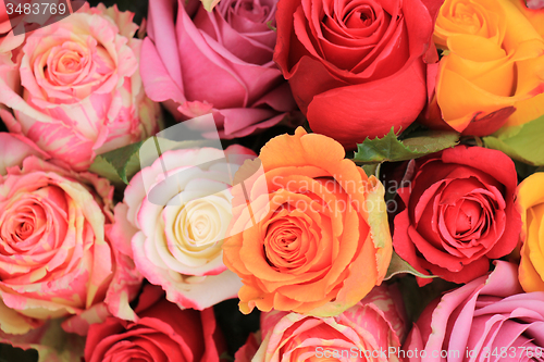 Image of Multicolored wedding roses