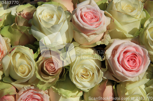 Image of White and Pink roses in wedding arrangement