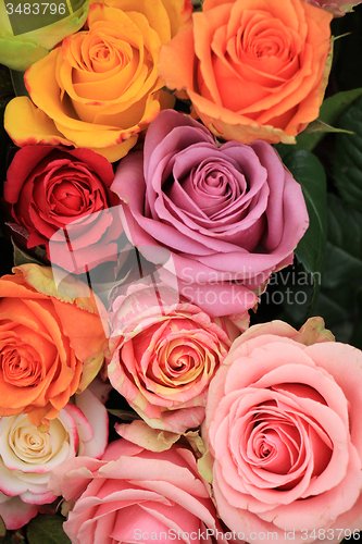 Image of Multicolored wedding roses