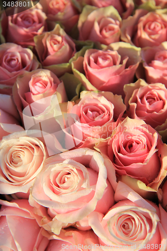 Image of Pink roses in a bridal arrangement