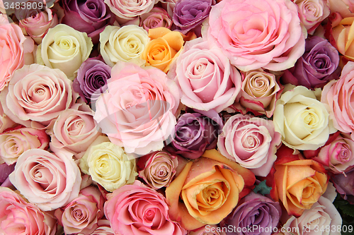 Image of Pastel wedding roses